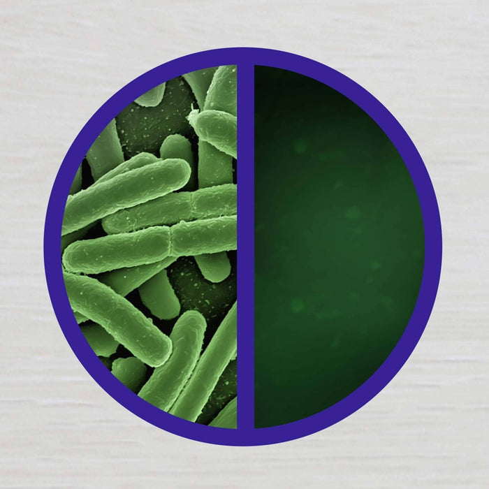 Lysol Disinfectant Spray Fabric - Lavender - 15oz