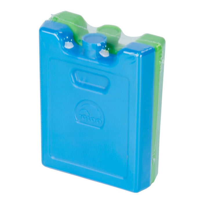 Igloo 2pk Ice Blocks - Blue/Green