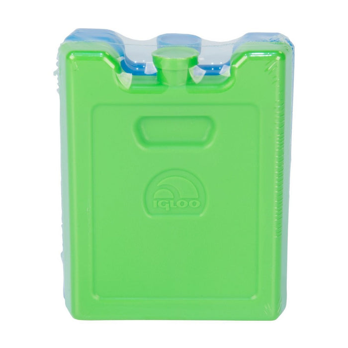Igloo 2pk Ice Blocks - Blue/Green