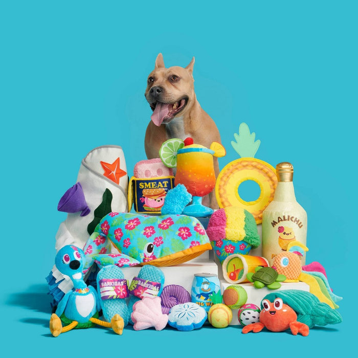 BARK Fetchin Squakshells Trio Dog Toy - Purple/Pink/Blue