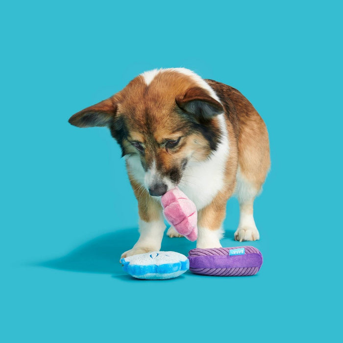 BARK Fetchin Squakshells Trio Dog Toy - Purple/Pink/Blue