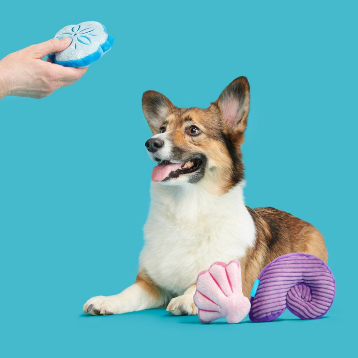 BARK Fetchin Squakshells Trio Dog Toy - Purple/Pink/Blue
