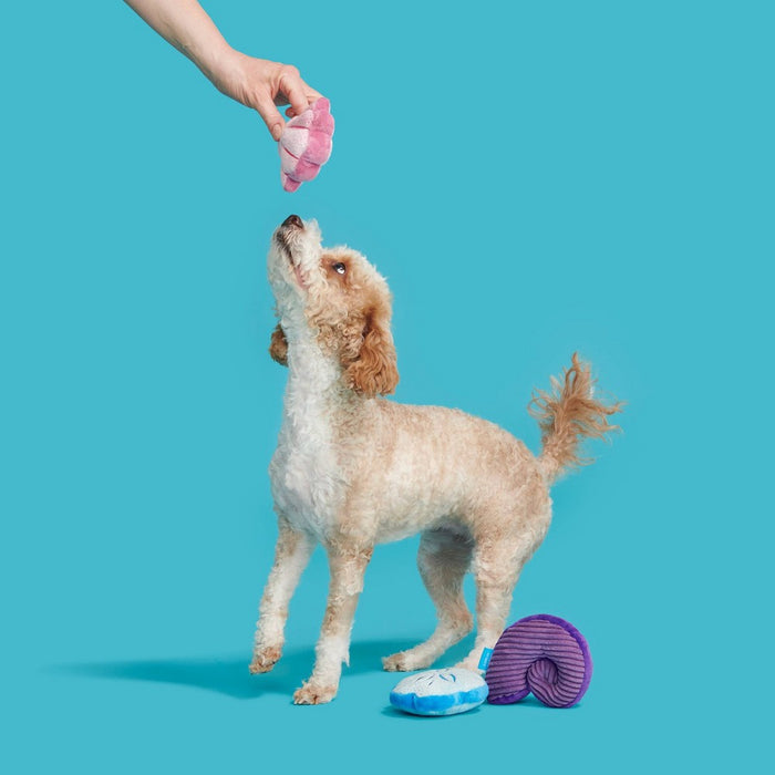 BARK Fetchin Squakshells Trio Dog Toy - Purple/Pink/Blue