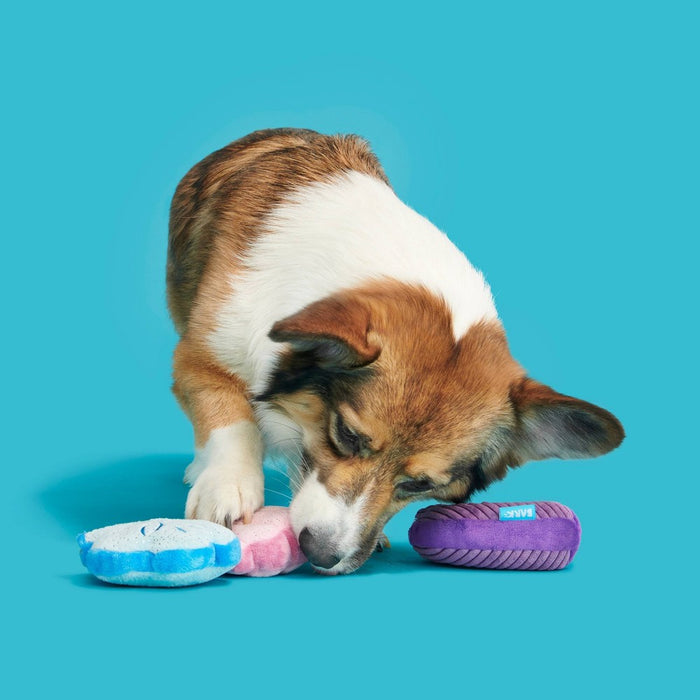 BARK Fetchin Squakshells Trio Dog Toy - Purple/Pink/Blue