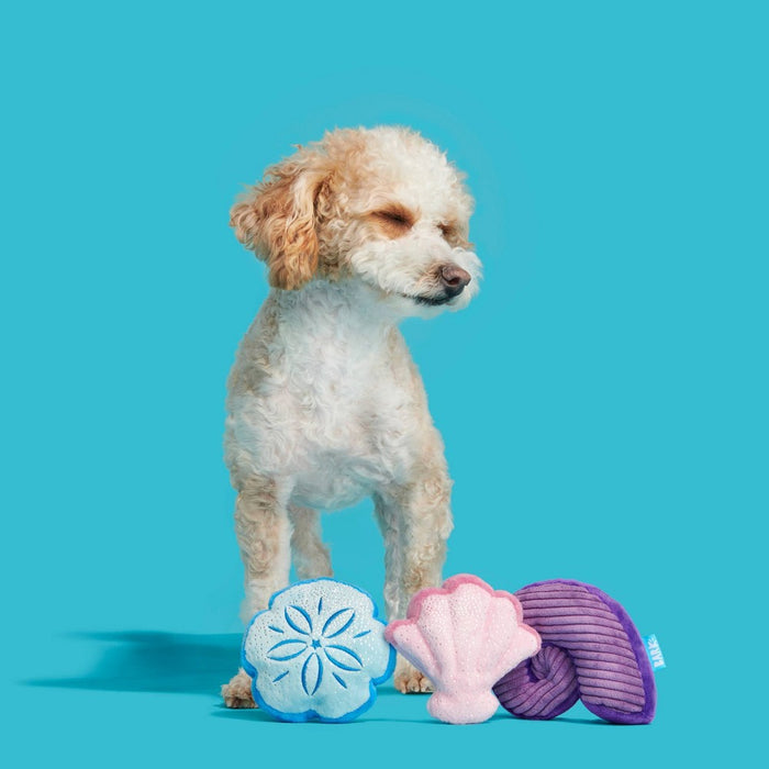 BARK Fetchin Squakshells Trio Dog Toy - Purple/Pink/Blue