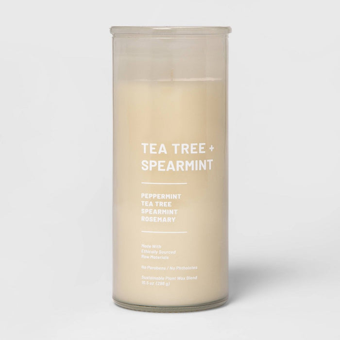 10.5oz Glass Jar Tea Tree and Spearmint Candle Beige - Project 62™