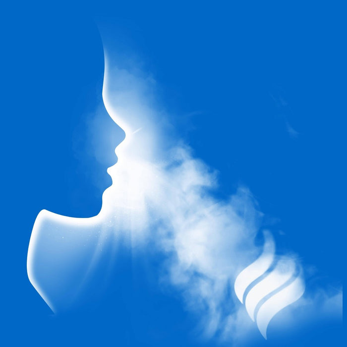 Vicks VapoShower Soothing Vapors Tablets - 5ct