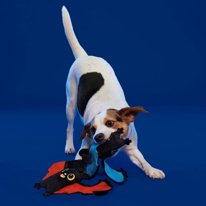 BARK Flapper Girls Dog Toy