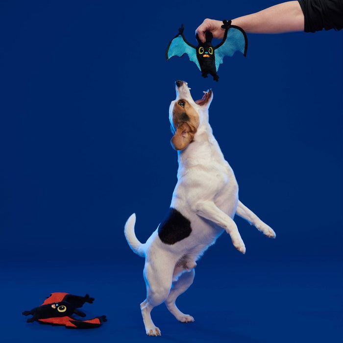 BARK Flapper Girls Dog Toy