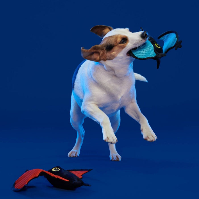 BARK Flapper Girls Dog Toy