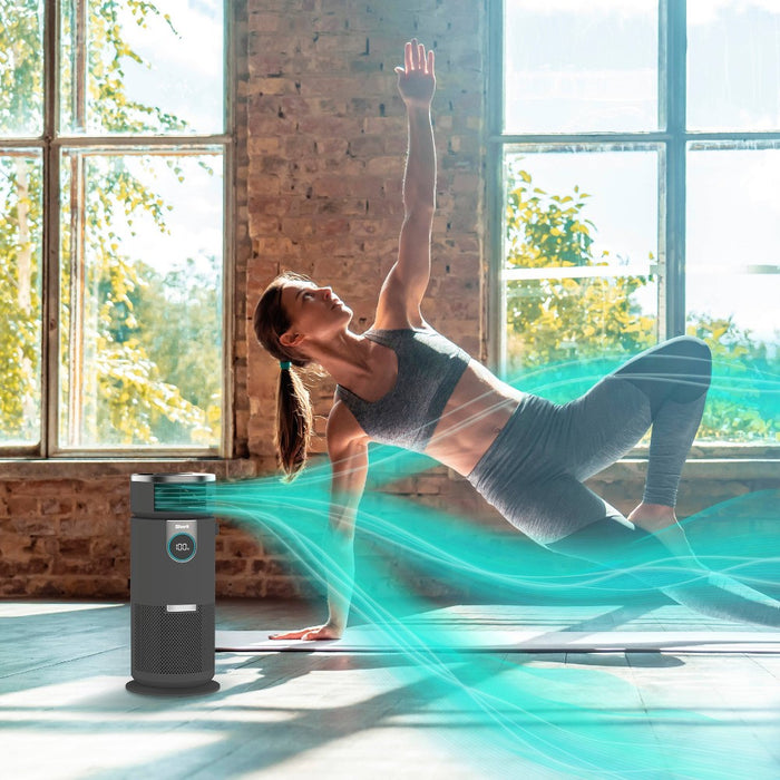 Shark 3-in-1 Air Purifier, Heater and Fan with NanoSeal HEPA, Cleansense IQ, Odor Lock, for 500 Sq. Ft, Gray, HC452