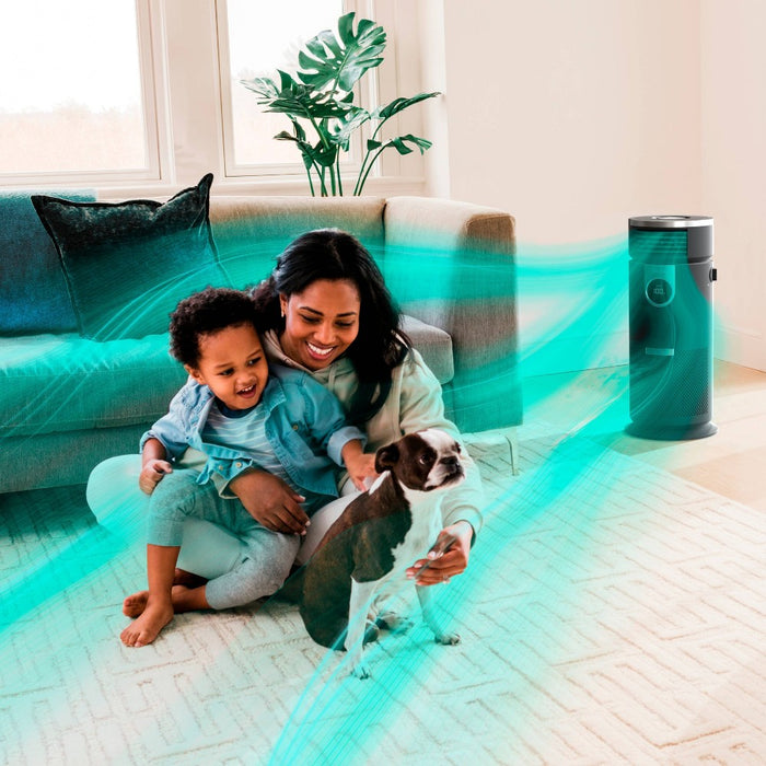 Shark 3-in-1 Air Purifier, Heater and Fan with NanoSeal HEPA, Cleansense IQ, Odor Lock, for 500 Sq. Ft, Gray, HC452