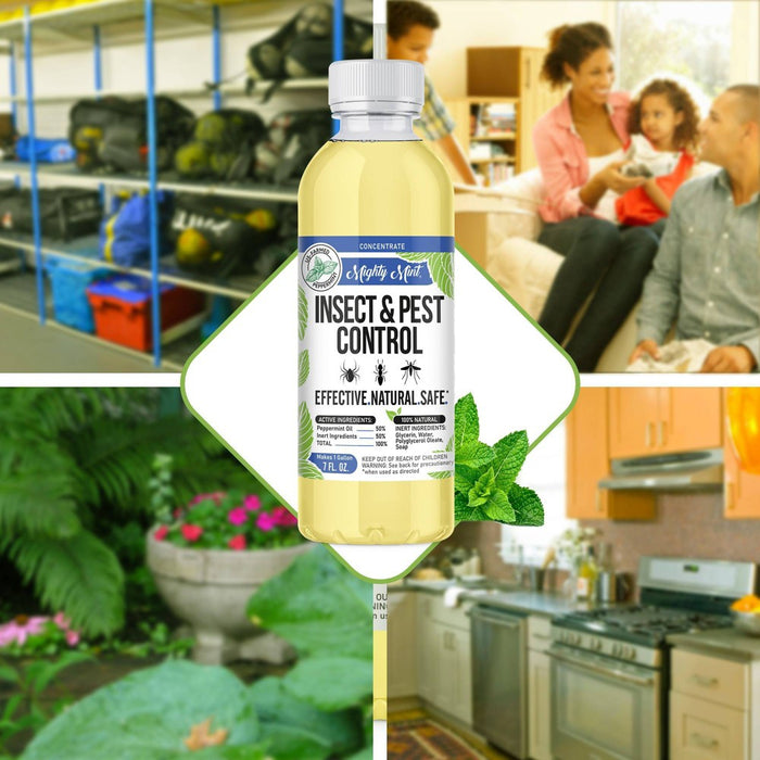 Mighty Mint Insect & Pest Control Concentrate - 7oz