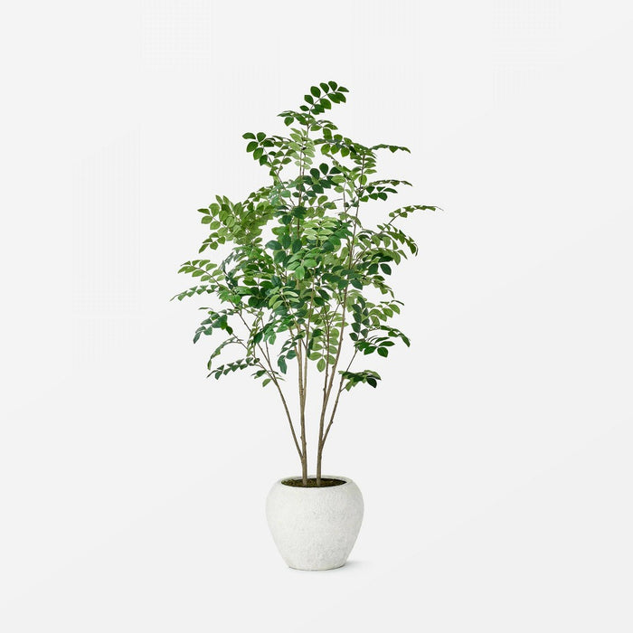 Moringa Artificial Tree Green - Threshold™ designed with Studio McGee (LOCAL PICKUP ONLY)