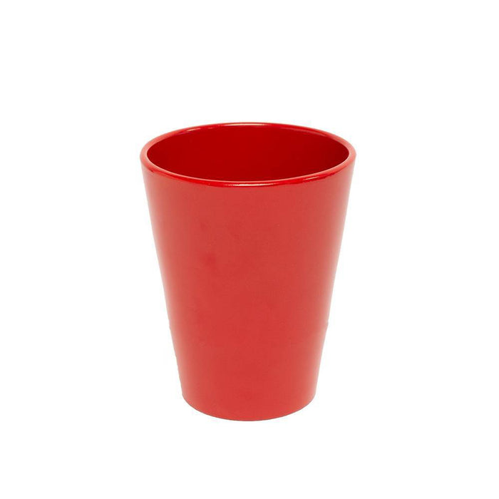 Ceramic Palmela Planter with White Amaryllis Grow Kit - Garden State Bulb