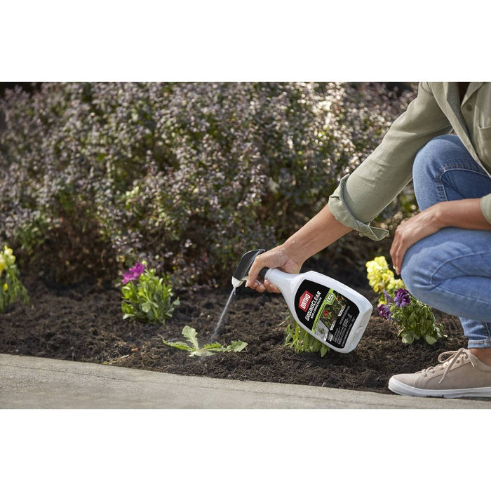 Ortho GroundClear Weed & Grass Killer with Ready To Use Trigger - 24oz
