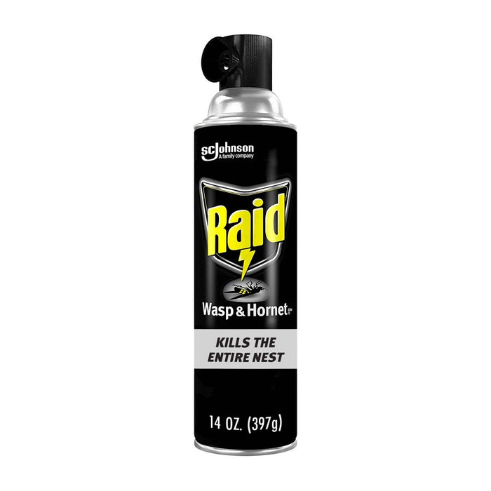 Raid Wasp & Hornet Killer - 14oz