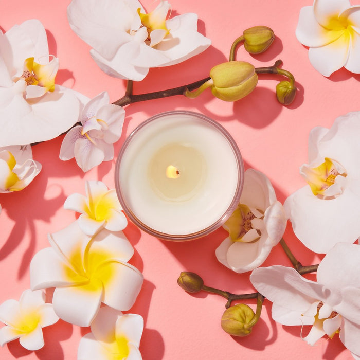 Grove Co. Fresh Horizons Candle - Island Orchid - 5.5oz