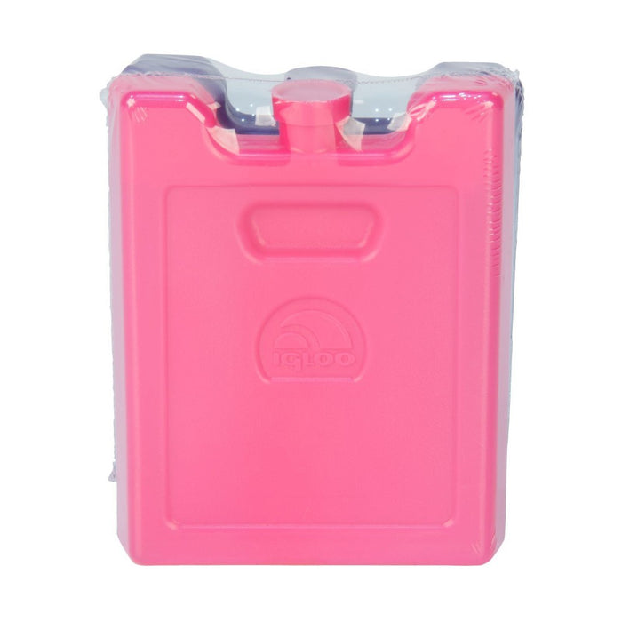 Igloo 2pk Ice Blocks - Pink/Purple