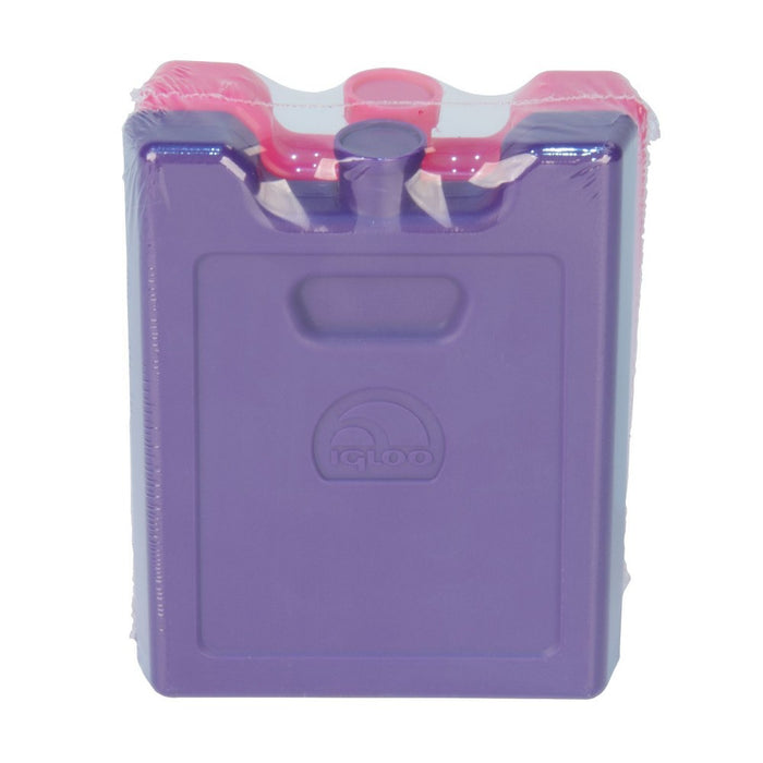 Igloo 2pk Ice Blocks - Pink/Purple