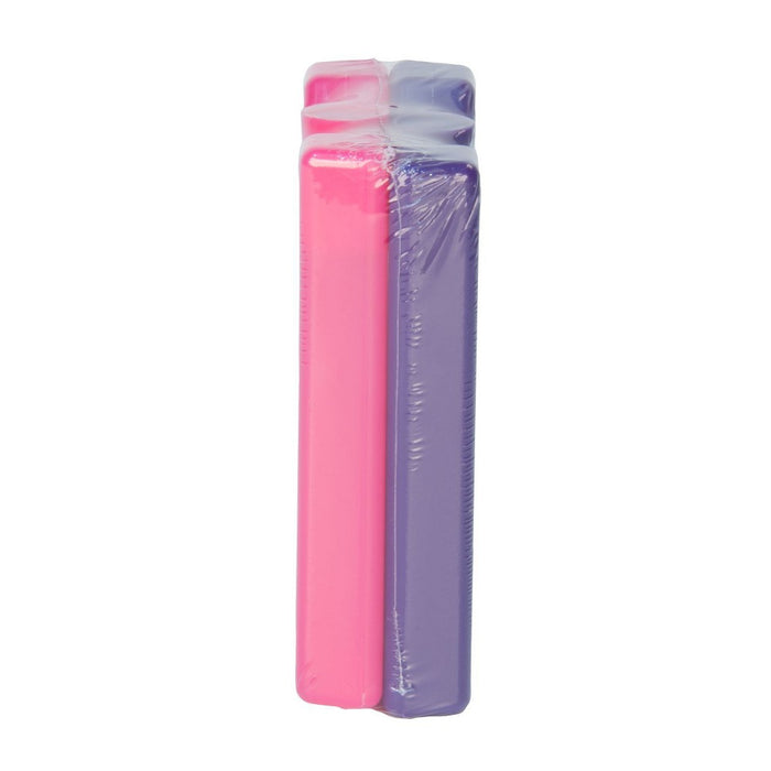 Igloo 2pk Ice Blocks - Pink/Purple
