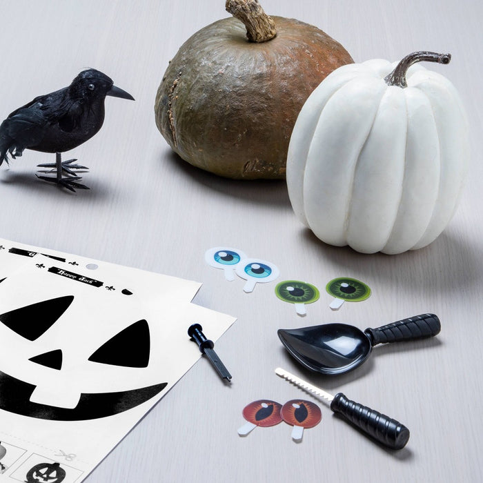 Silly Eyes Halloween Pumpkin Carving Kit - Hyde & EEK! Boutique