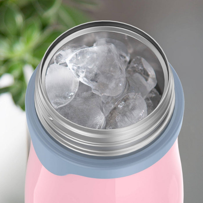 Thermos 10oz Stainless Steel Straw Bottle Pink/Blue
