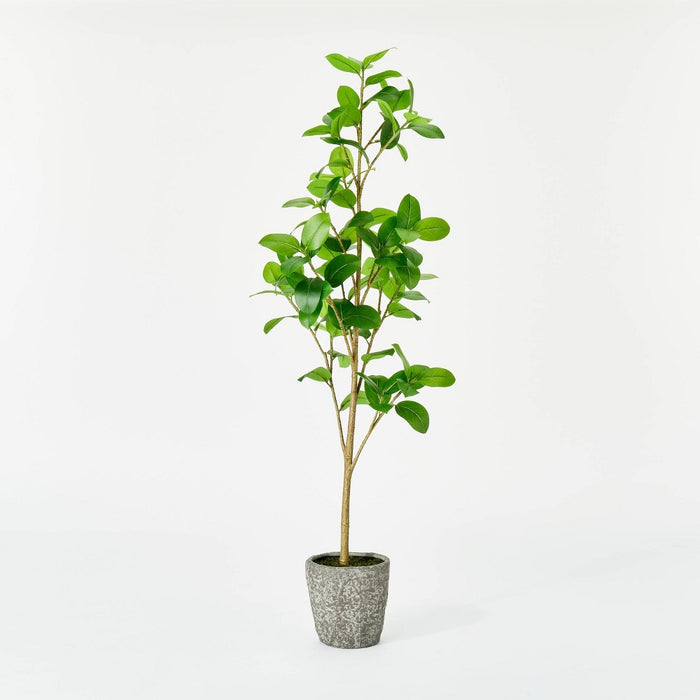 Banyan Leaf Potted Tree - Threshold designed with Studio McGee (LOCAL PICKUP ONLY)