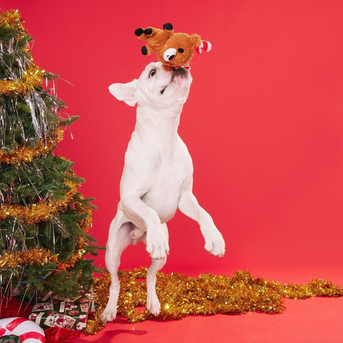 BARK Puppermint Prancer Dog Toy