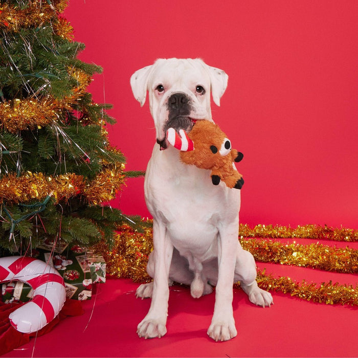 BARK Puppermint Prancer Dog Toy