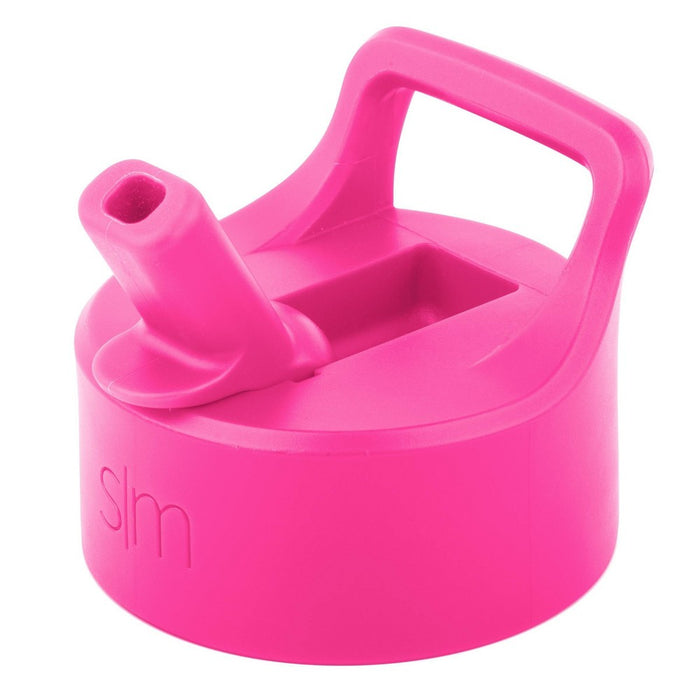 Simple Modern Summit 32oz Stainless Steel Water Bottle with Straw Lid Raspberry Vibes