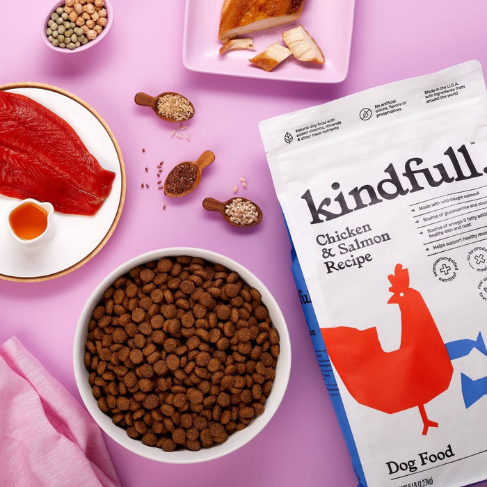 Chicken and Salmon Recipe Dry Dog Food - 5lbs - Kindfull