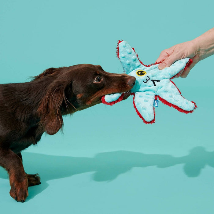 BARK Carla Starfish Dog Toy