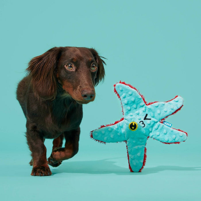 BARK Carla Starfish Dog Toy