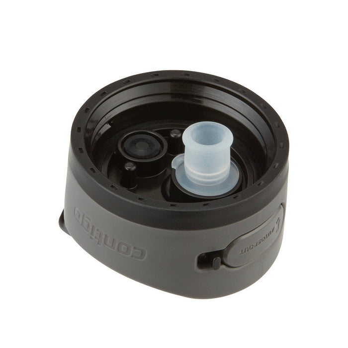 Contigo 24oz Ashland Chill Stainless Steel Water Bottle Licorice