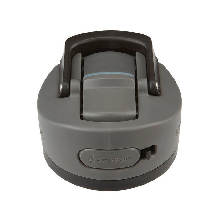 Contigo 24oz Ashland Chill Stainless Steel Water Bottle Licorice