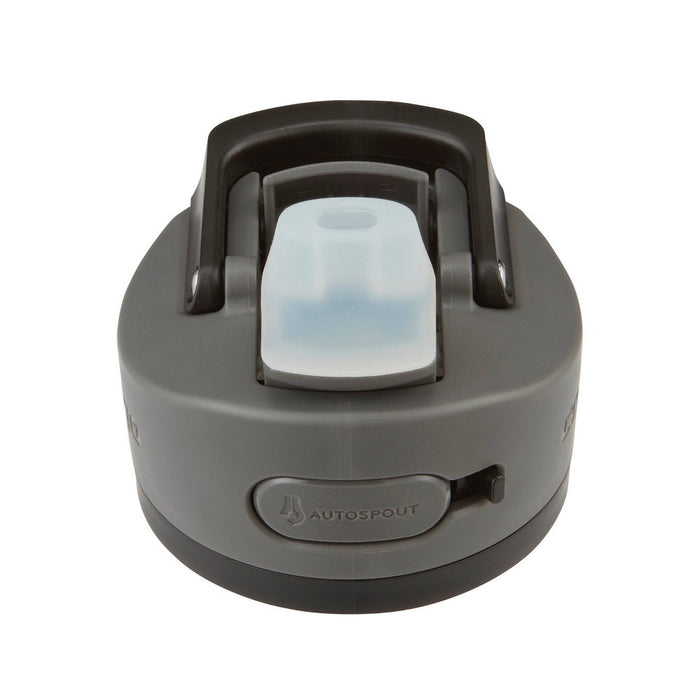 Contigo 24oz Ashland Chill Stainless Steel Water Bottle Licorice