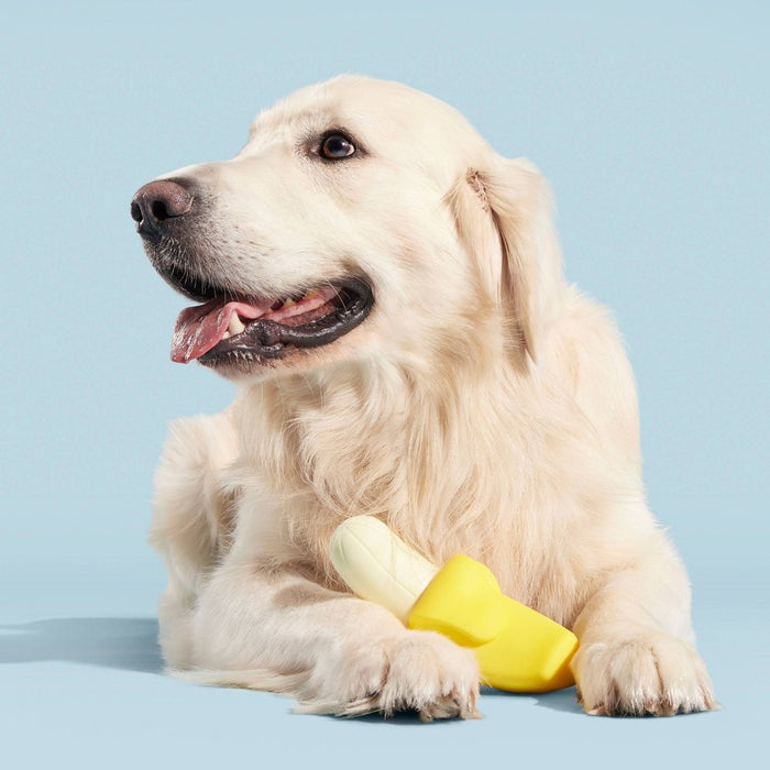 BARK Brawnana Super Chewer Dog Toy