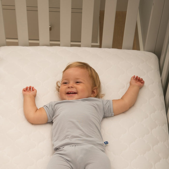 Sealy Cozy Dreams Waterproof Fitted Crib & Toddler Mattress Pad