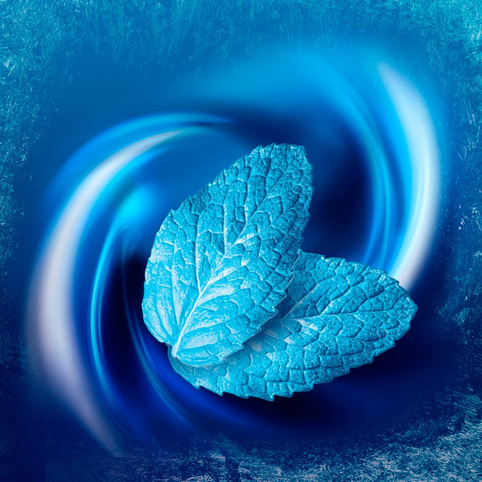 Vicks VapoCOOL Sore Throat Spray - Winterfrost - 6 fl oz