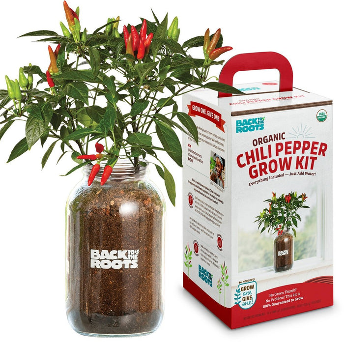 Back to the Roots Organic Chili Pepper Grow Kit