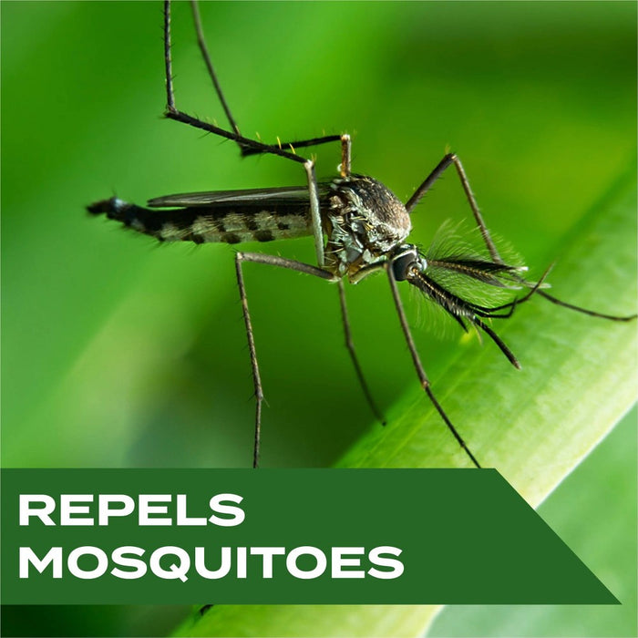STEM Mosquito Repellent Spritz - 4oz
