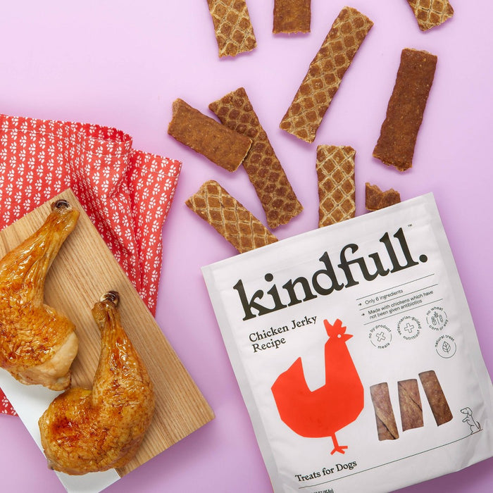 Chicken Jerky Recipe Dog Treats - 16oz - Kindfull
