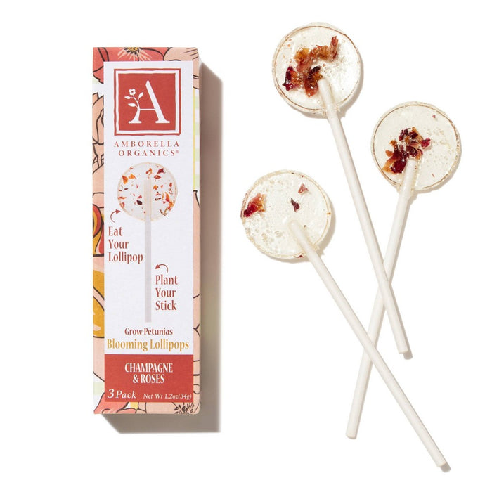 Amborella Organics Seed-Bearing Lollipop Champagne Roses: Grow Your Own Garden, Full Sun, Annual Cycle
