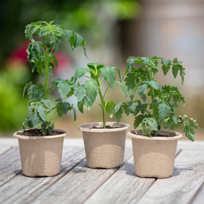 Back to the Roots 8pk Organic & Peat Free Plantable Seed Starting Pots