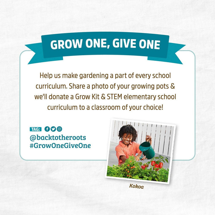 Back to the Roots 8pk Organic & Peat Free Plantable Seed Starting Pots