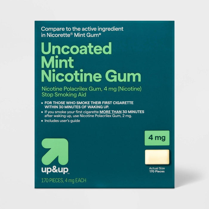 Nicotine 4mg Gum Stop Smoking Aid - Mint Flavor - 170ct - up&up
