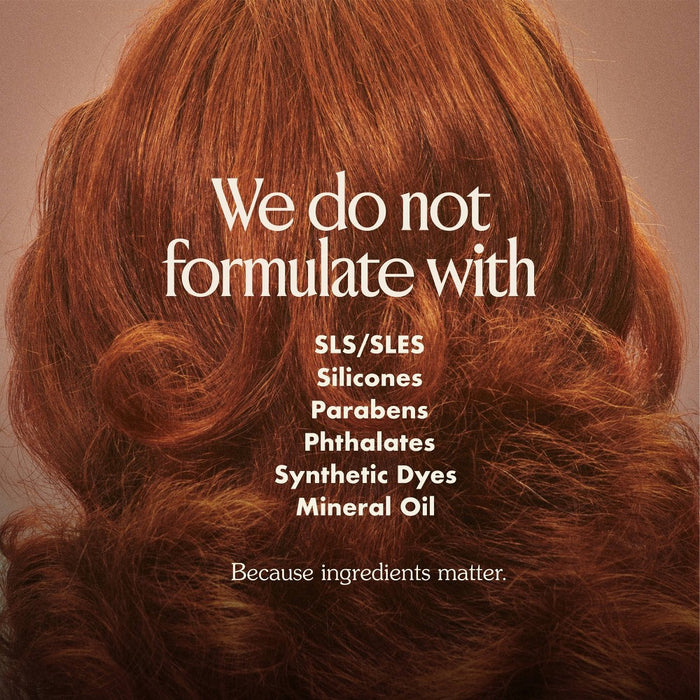 Blake Brown Bergamot Woods All-In-Wonder Leave-In Potion - 6 fl oz