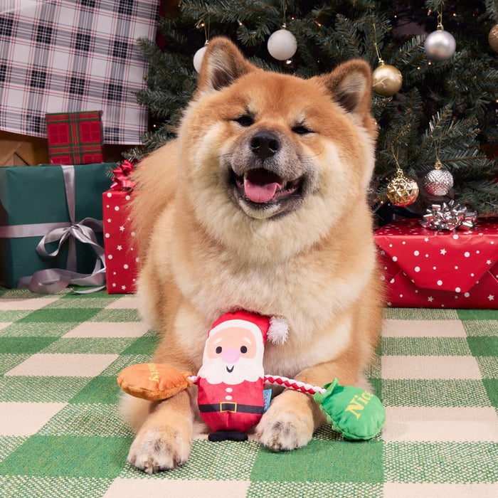 BARK Holiday Santa's Workchomp Santa's Swag Bags Dog Plush Toy