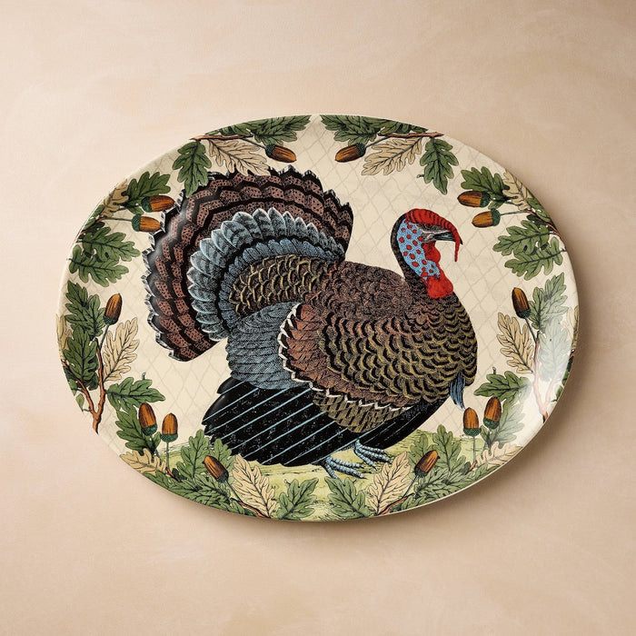19"x14" Turkey with Acorn Stoneware Oval Serving Platter - John Derian for Target